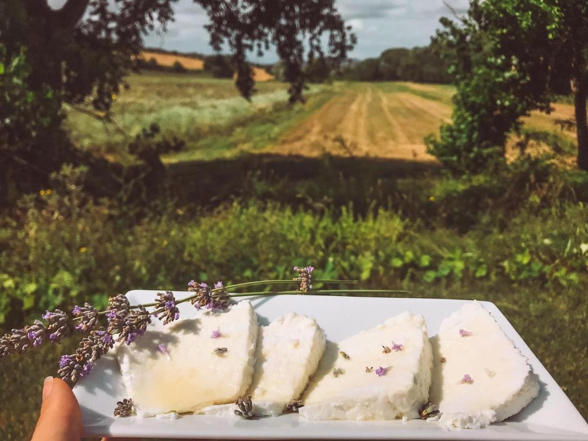 Agriturismo La Sorgente Camerano Kültér fotó
