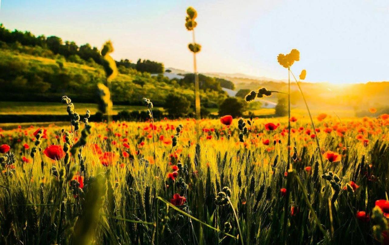 Agriturismo La Sorgente Camerano Kültér fotó