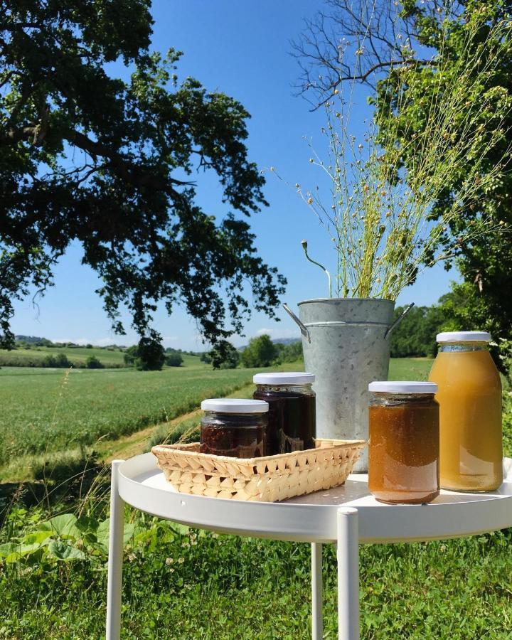 Agriturismo La Sorgente Camerano Kültér fotó