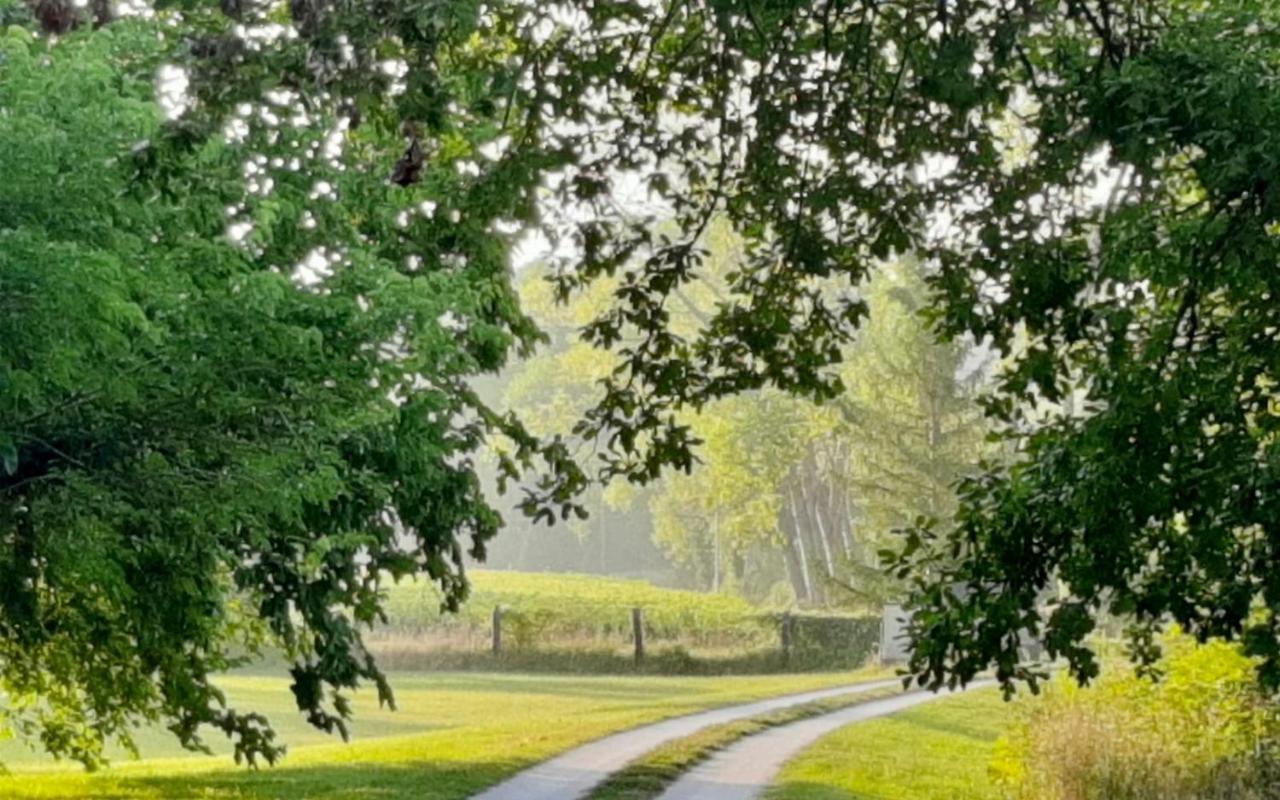 Agriturismo La Sorgente Camerano Kültér fotó