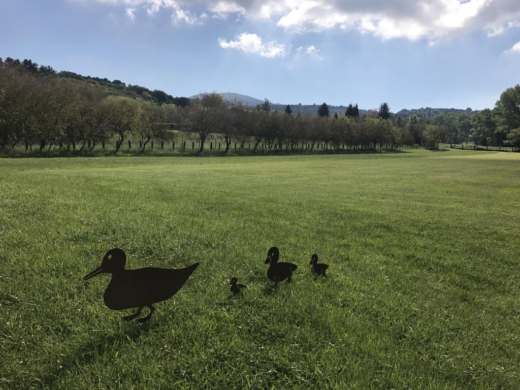 Agriturismo La Sorgente Camerano Kültér fotó