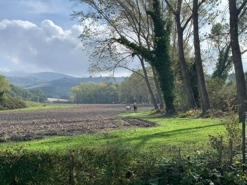 Agriturismo La Sorgente Camerano Kültér fotó