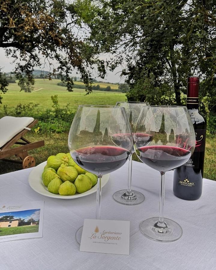 Agriturismo La Sorgente Camerano Kültér fotó